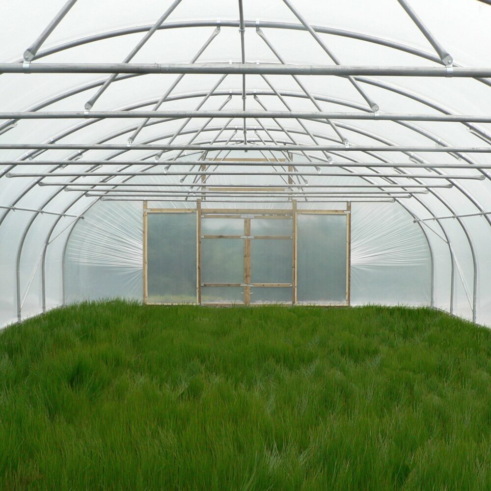 Crop Bars