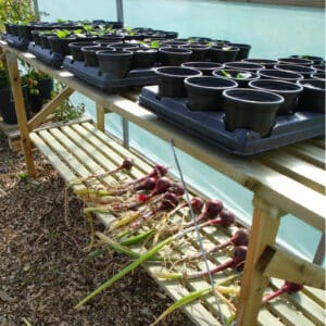 Trestle Potting Greenhouse Table - 1.8m x 0.5m