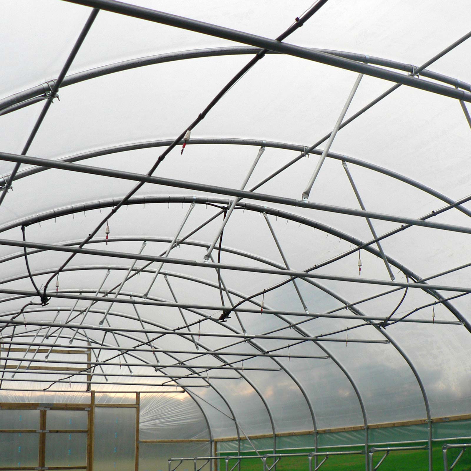Crop Bars for Polytunnels - Image 2