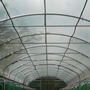 Crop Bars for Polytunnels