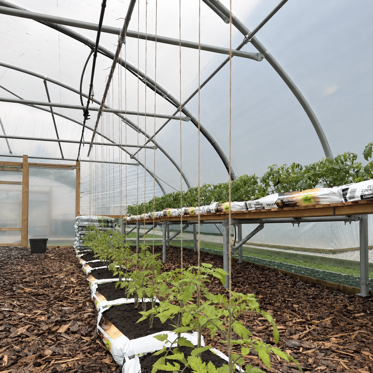 20ft (6.1m) Wide Polytunnel - Image 2