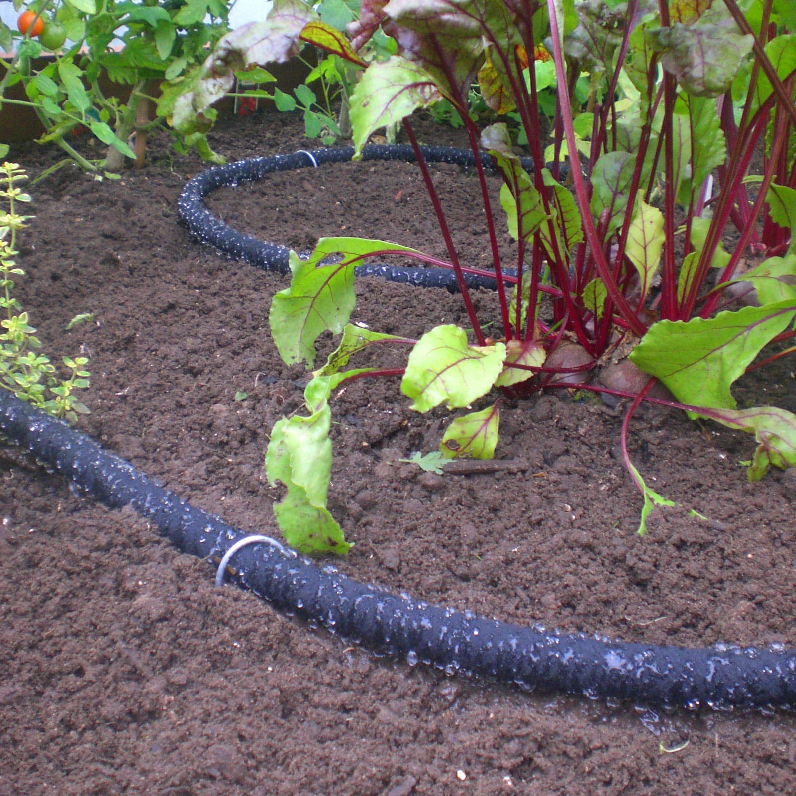 Soaker Hose - Image 2