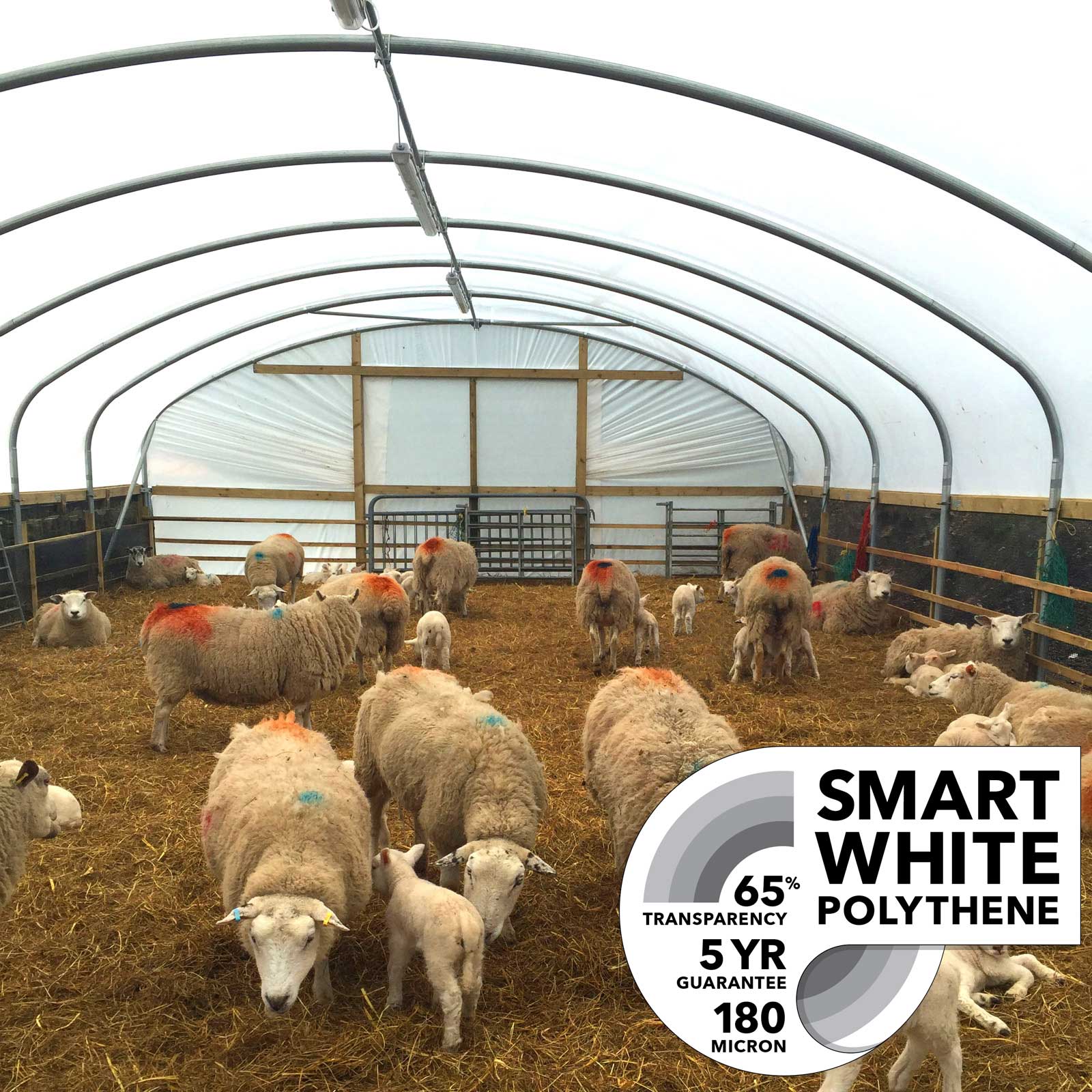 Smart White Polythene (180 Micron) - Image 2