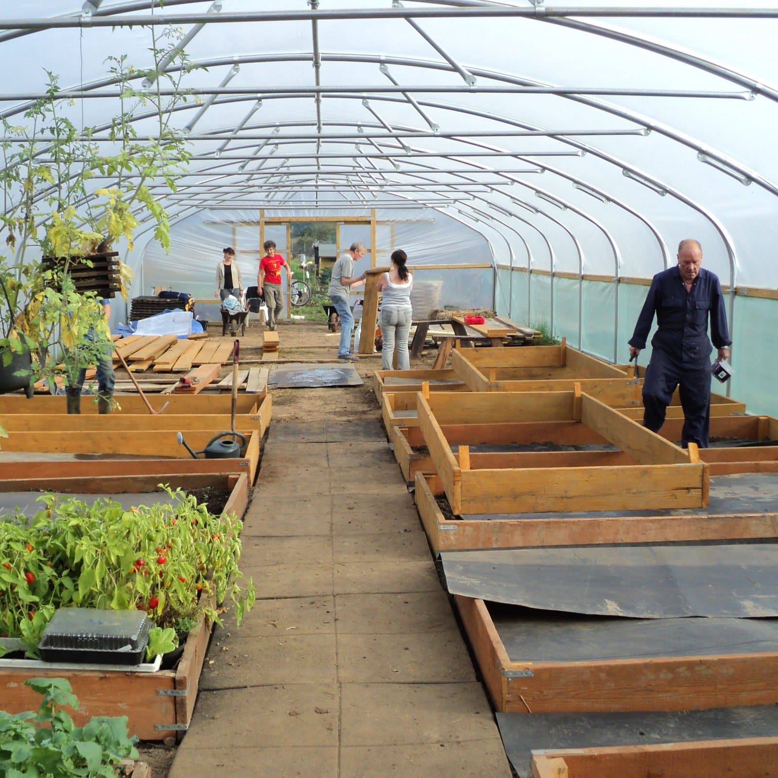 24ft (7.32m) Wide Polytunnel - Image 3