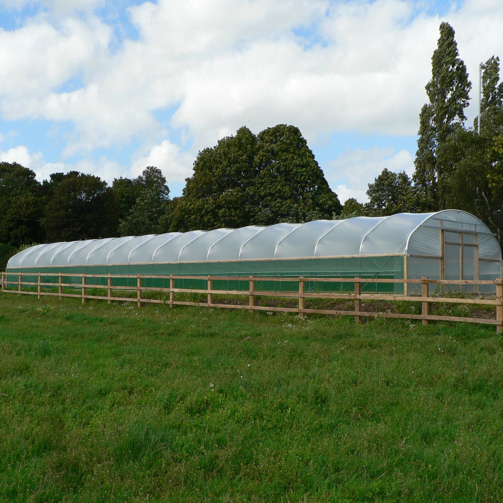 24ft (7.32m) Wide Polytunnel - Image 4