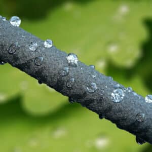 Soaker Hose