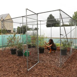 Fruit Cage