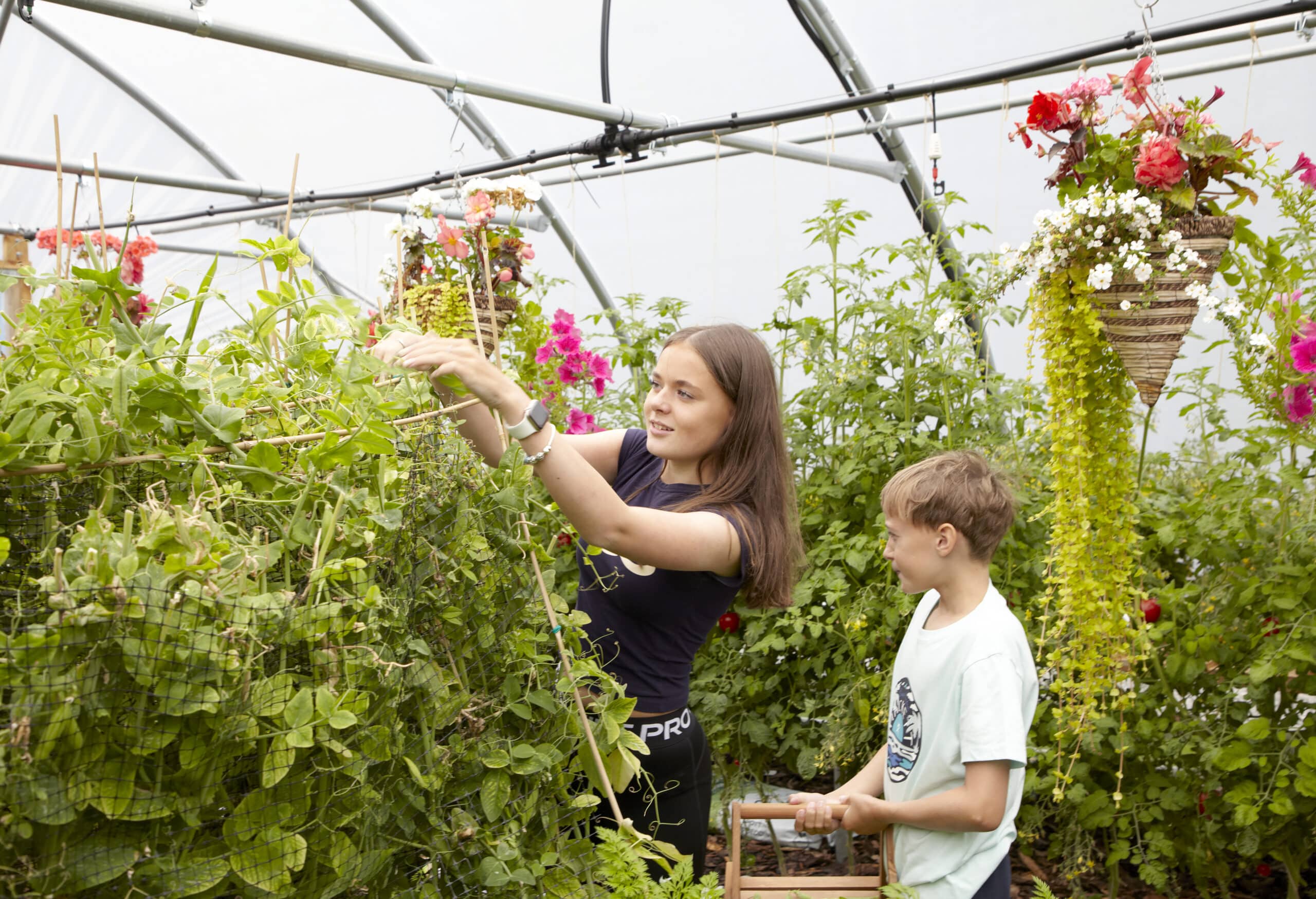 18ft (5.49m) Wide Polytunnel - Image 8
