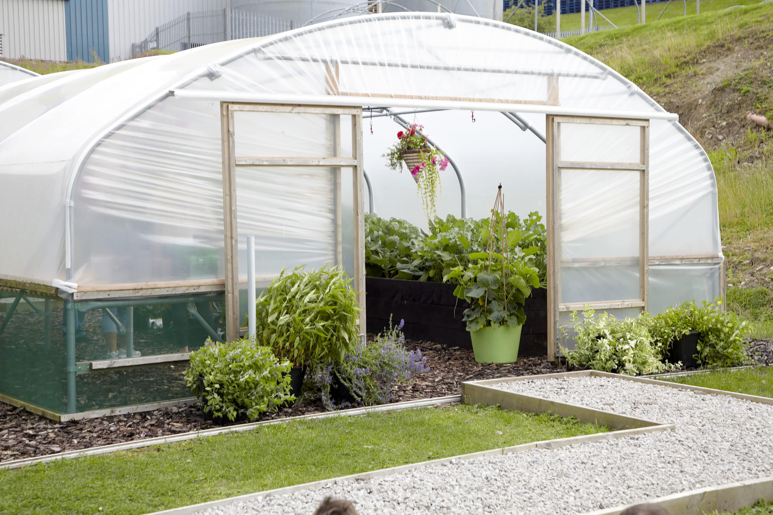 20ft (6.1m) Wide Polytunnel - Image 9