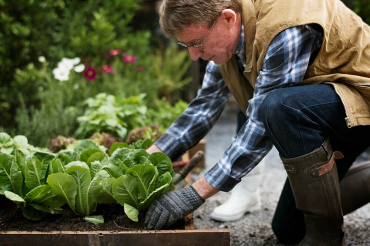 benefits of growing your own food security