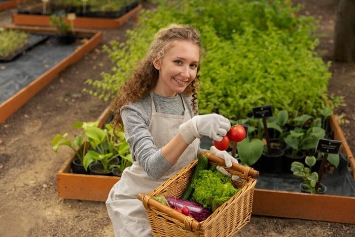 save money on groceries benefits of growing your own food