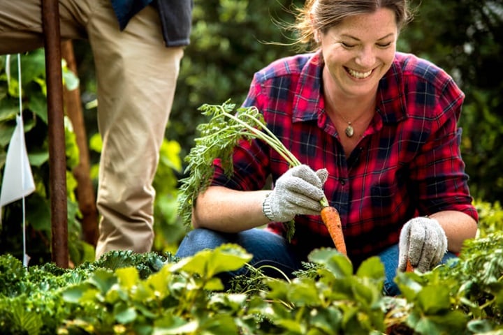 benefits of growing your own food improving growing space