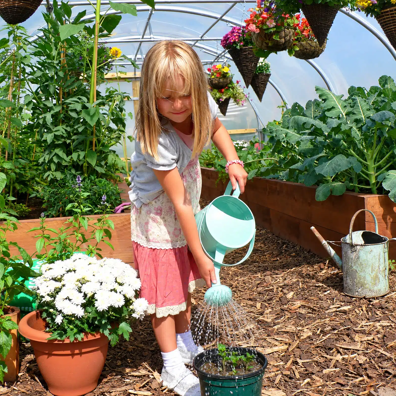 12ft (3.66m) Wide Polytunnel - Image 3