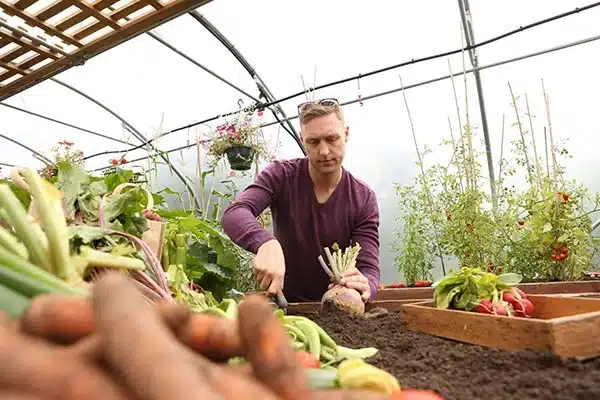 Companion Planting