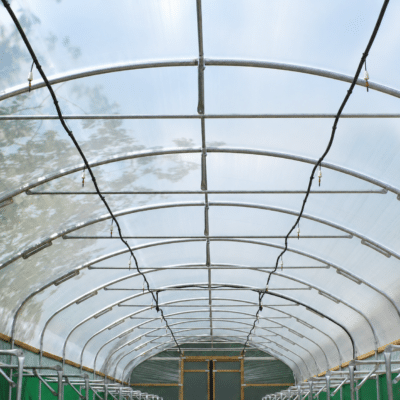 24ft (7.32m) Wide Polytunnel