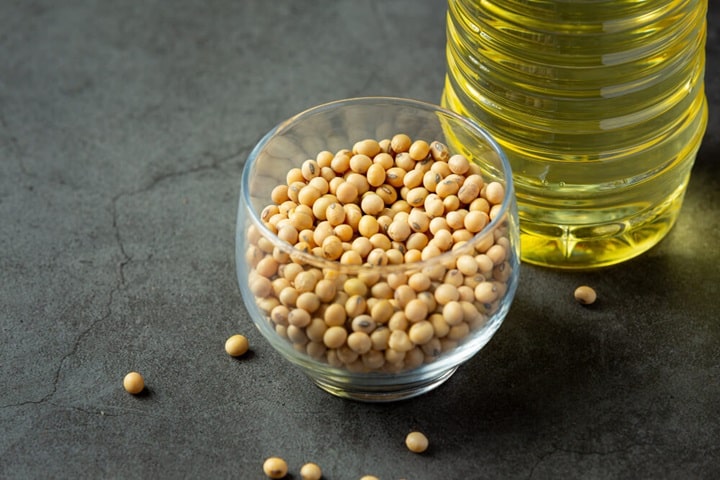 fermented foods soybeans