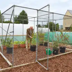 Fruit Cage Door