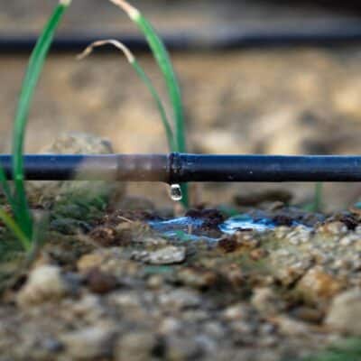 garden watering system