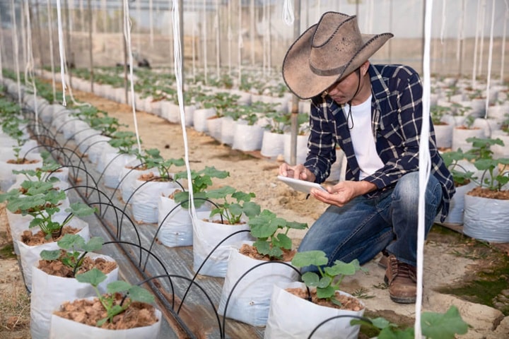 garden watering systems programmable controls