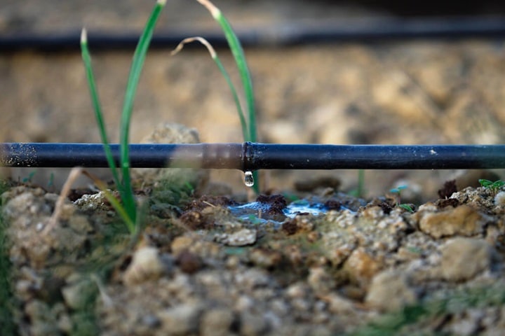 garden watering system drip irrigation