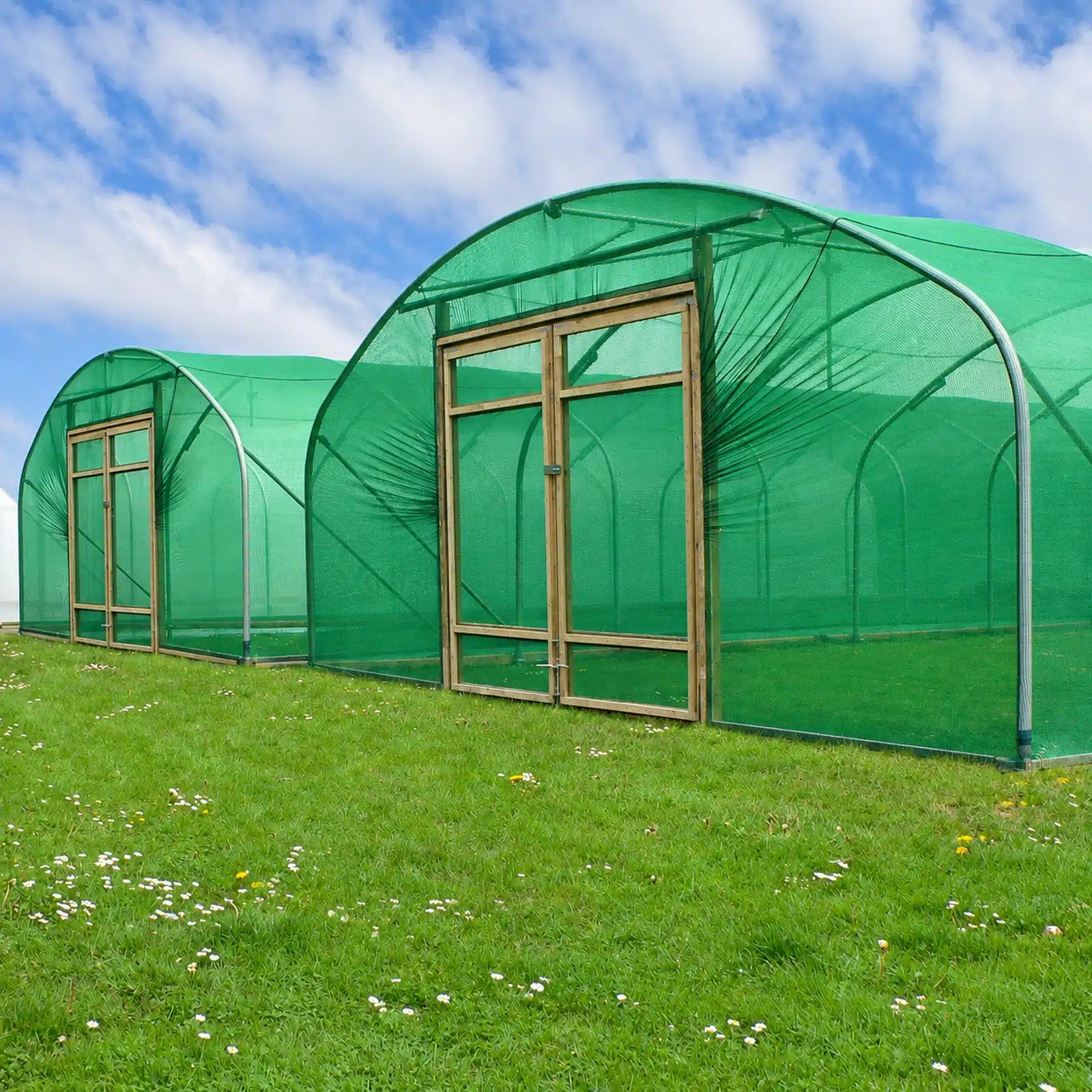 Fabricated Net Cover (50% Density) - Image 3