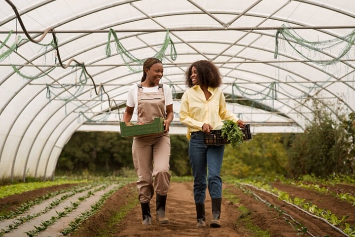 types of permaculture farming
