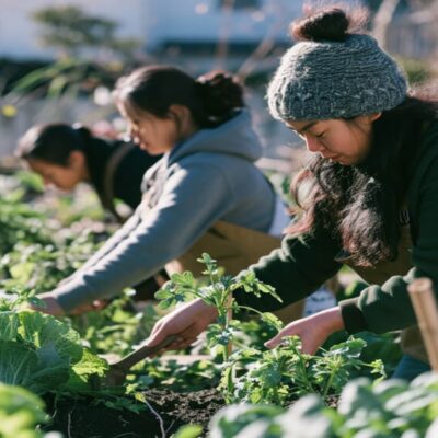 permaculture farming