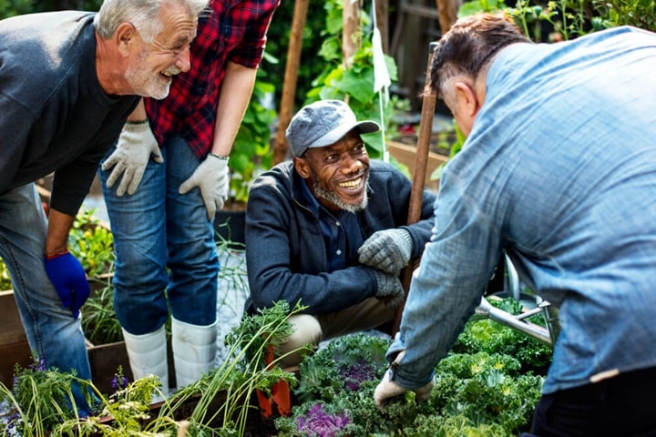 permaculture farming resources