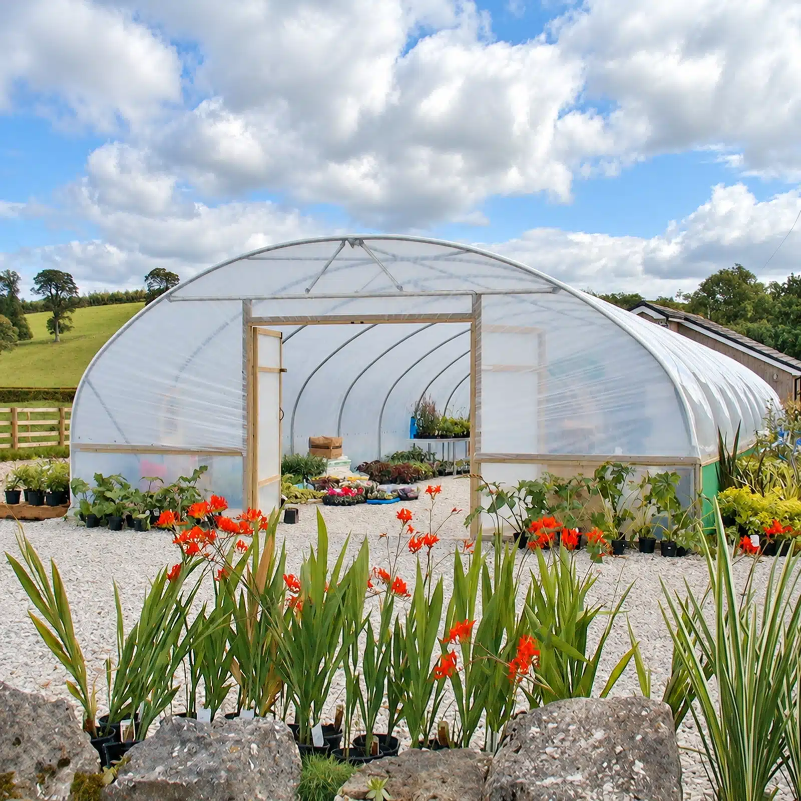 22ft (6.71m) Wide Polytunnel - Image 2