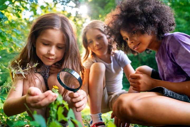 summer gardening with kids go on a bug hunt