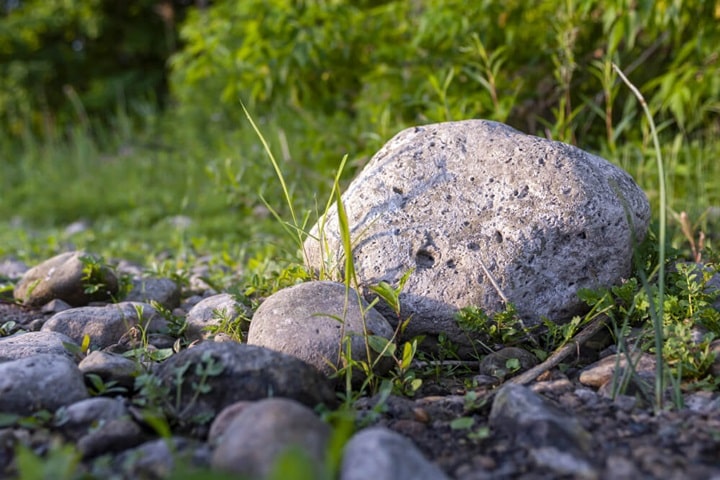 gardening with kids build a mini rock garden