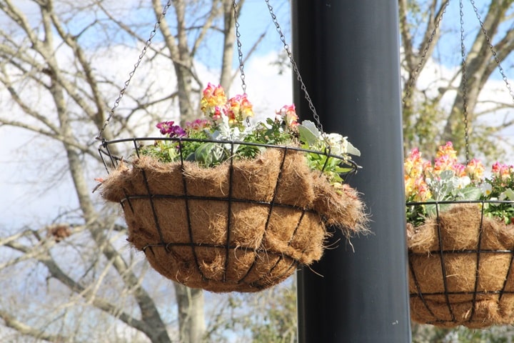 vertical garden plants benefits