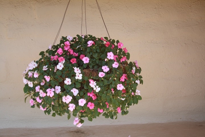vertical garden plants planting pockets and tower gardens