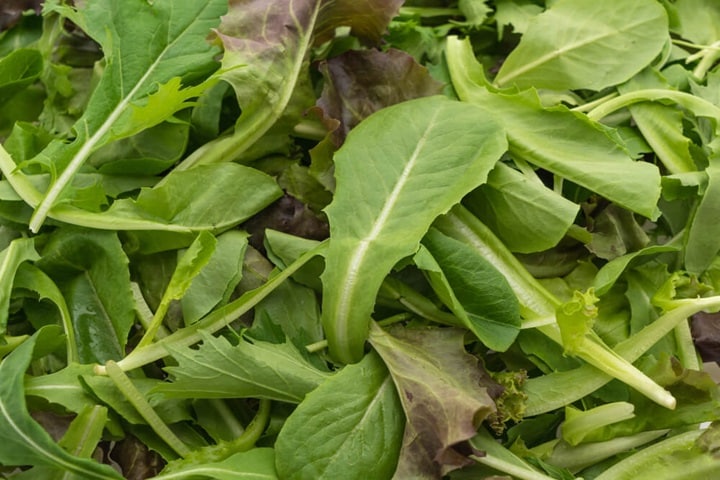 leafy greens what vegetables grow in full shade