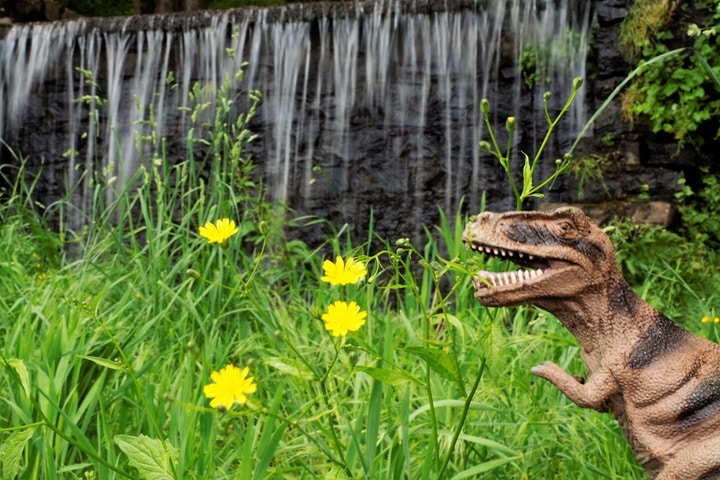 dinosaur garden ideas herbs and veggies