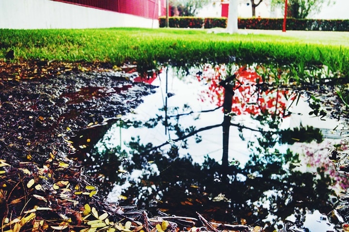 analysing garden flooding solutions