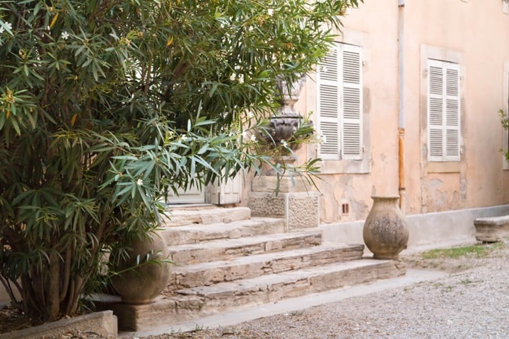 Mediterranean garden ideas