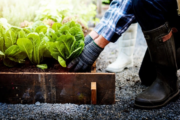 thermal mass in raised beds