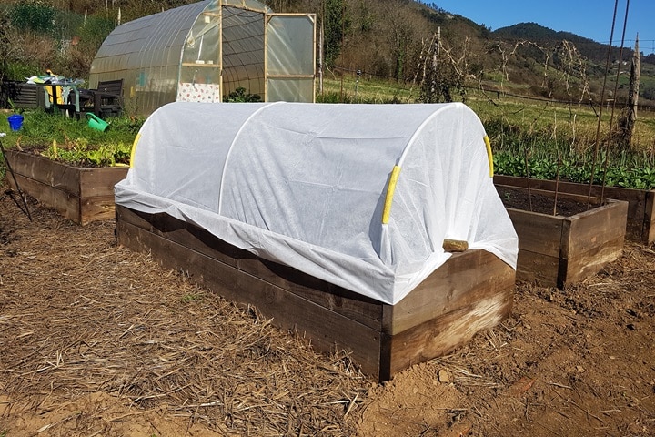 what size polytunnel do i need length
