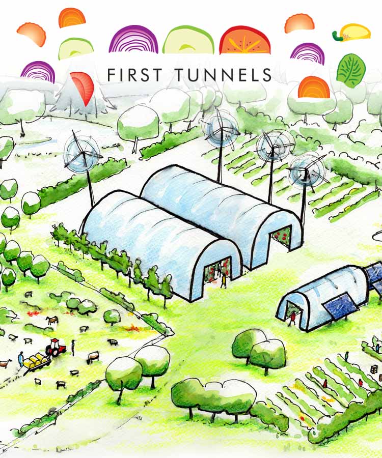 drawn polytunnels
