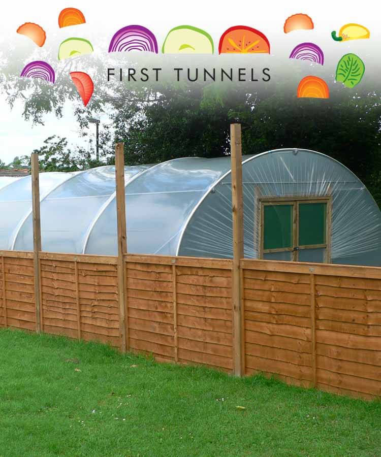 bestpolytunnelwindbreak