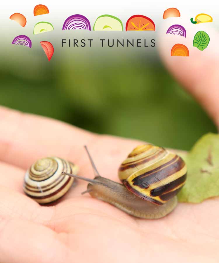 bestsnailpolytunnel