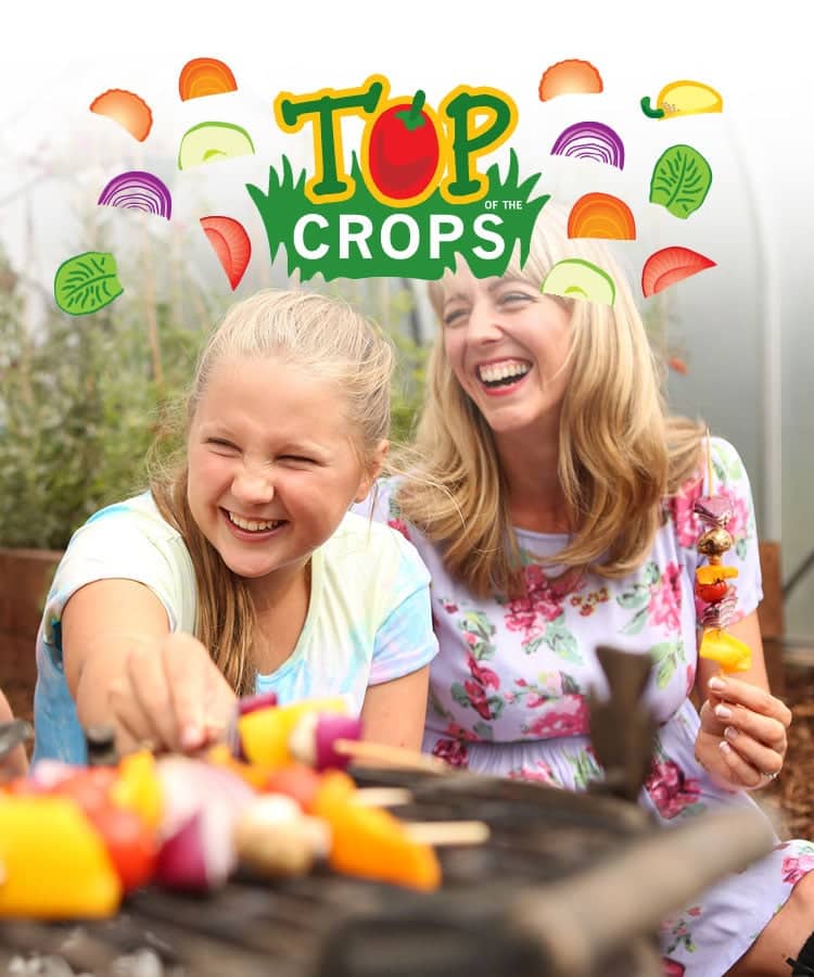 topofthecropstempy1