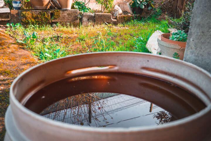 collecting rainwater in self sufficient garden