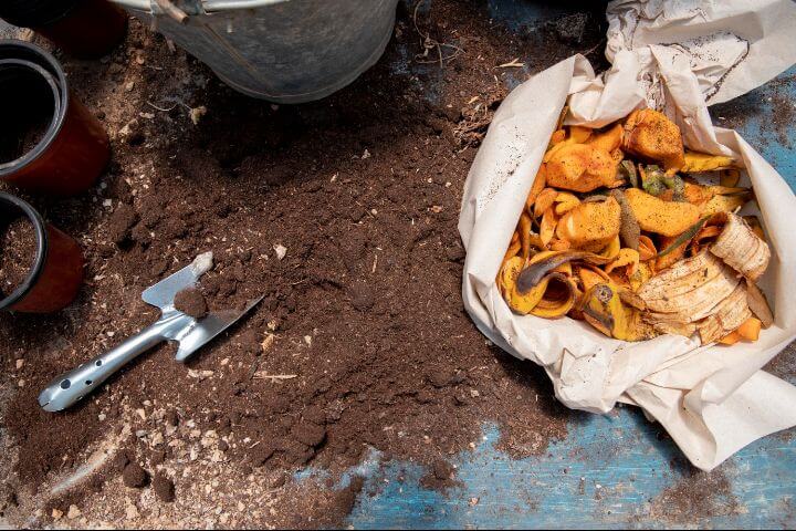 speed up compost 1