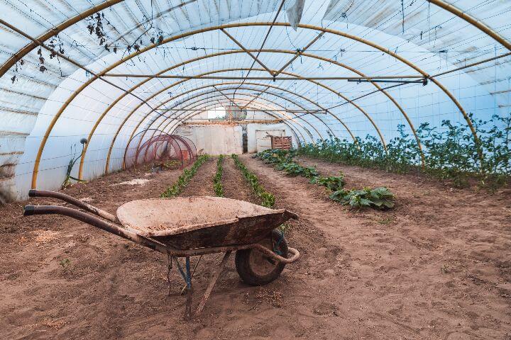 cheap polytunnel