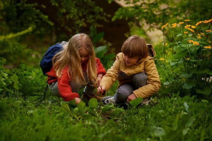 childrens garden ideas