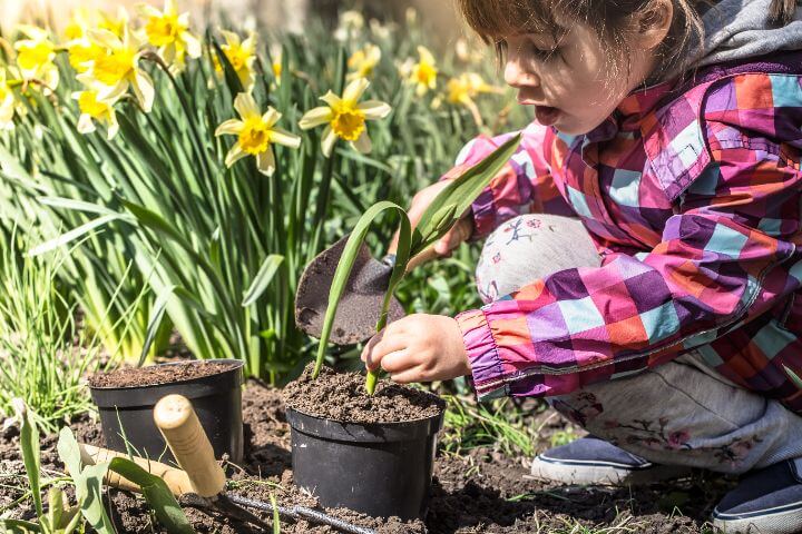 garden ideas for kids
