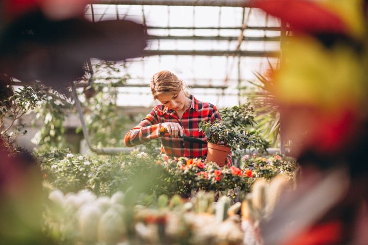 grow your own presents