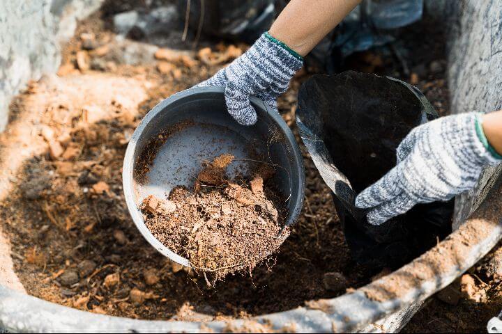 organic gardening